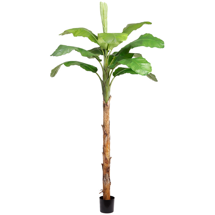 10' Royal Banana Silk Palm Tree w/Pot -Green - LTB352-GR