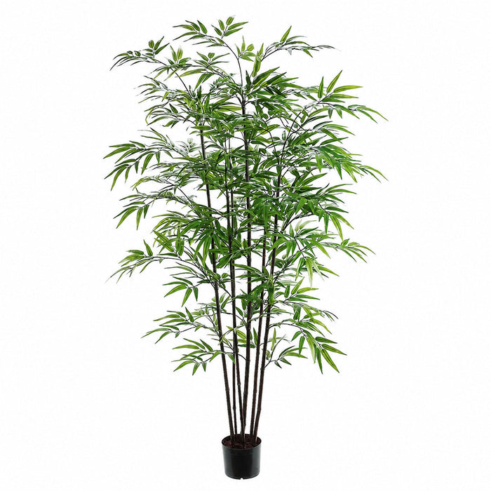 5' Black Bamboo Silk Tree w/Pot -1,200 Leaves -Green (Pack of 2) - LTB455-GR