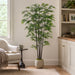 7' Black Bamboo Silk Tree w/Pot -1,980 Leaves -Green (Pack of 2) - LTB457-GR