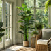 7'6" Banana Silk Plant w/Pot -Green (Pack of 2) - LTB517-GR