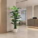 7'6" Banana Silk Plant w/Pot -Green (Pack of 2) - LTB517-GR