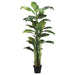 7'6" Banana Silk Palm Tree w/Pot -Green (pack of 2) - LTB517-GR