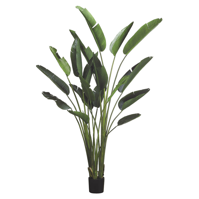 artificial silk bird of paradise palm tree potted plant 7'9" Bird Of Paradise Silk Palm Tree w/Pot -Green (Pack of 2)