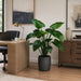 4' EVA Curcuma Artificial Plant w/Pot -Green (Pack of 2) - LTC114-GR