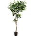 6'6" Silk Coffee Tree w/Pot -Green (pack of 2) - LTC126-GR