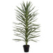 4'6" Dracaena Artificial Tree w/Plastic Pot -Green/Gray (Pack of 2) - LTD180-GR/GY