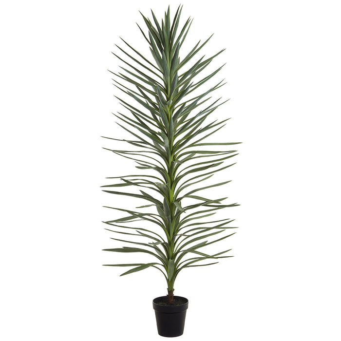 6' Dracaena Artificial Tree w/Plastic Pot -Green/Gray (Pack of 2) - LTD181-GR/GY