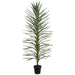 6' Dracaena Artificial Tree w/Plastic Pot -Green/Gray (Pack of 2) - LTD181-GR/GY