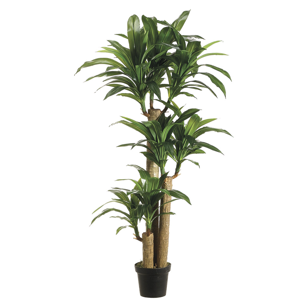 silk dracaena tree 5 ft Tropical Dracaena Tree By Allstate in Two Tone Green