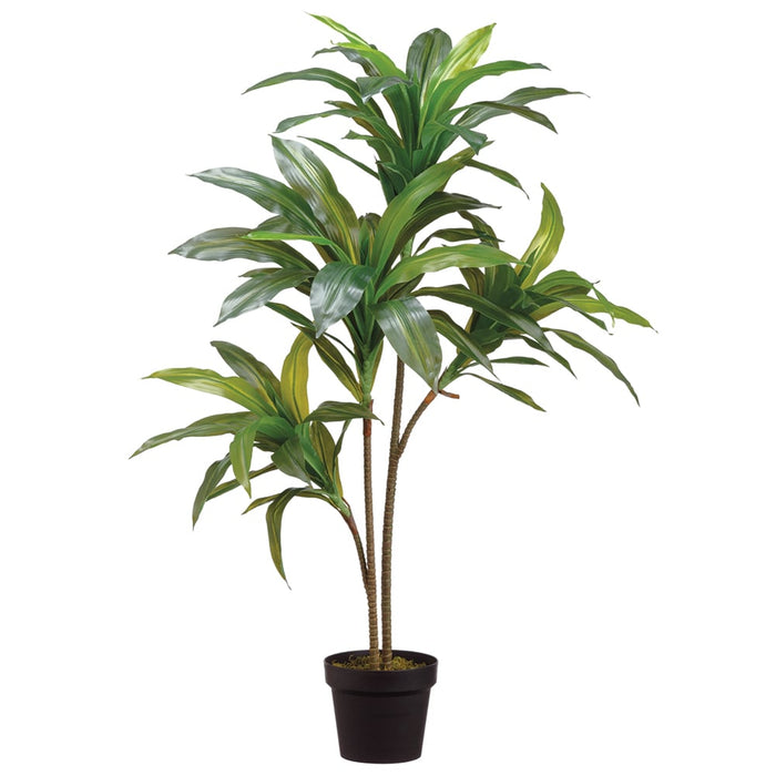 3'3" Silk Dracaena Tree w/Pot -Green (pack of 4) - LTD760-GR
