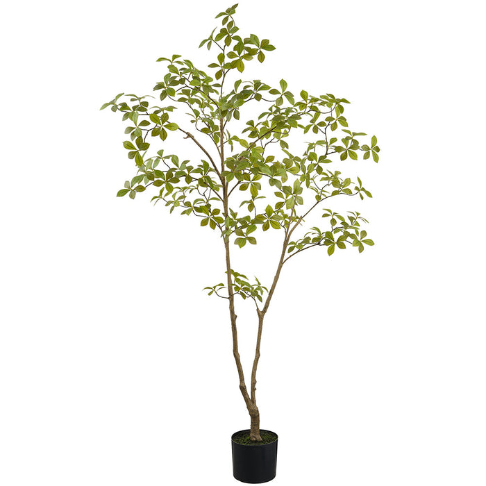5'1" Enkianthus Silk Tree w/Plastic Pot -Green - LTE010-GR