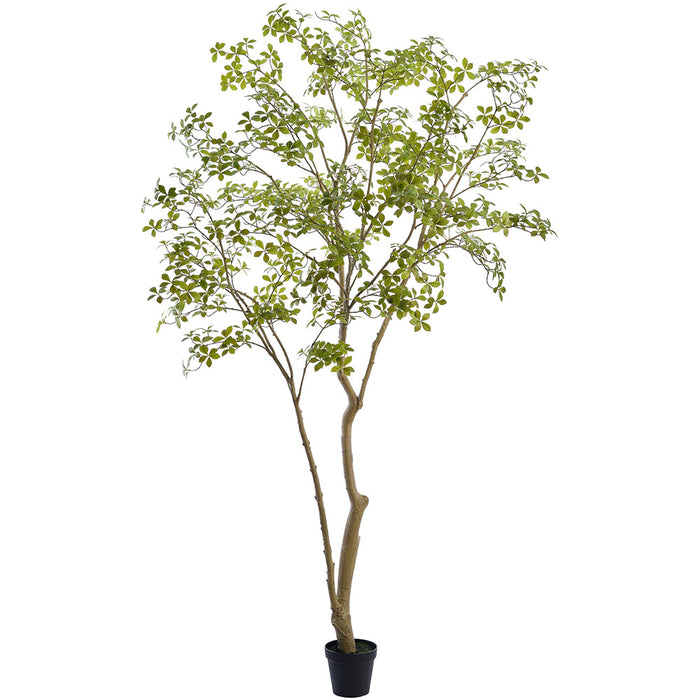 9'6" Enkianthus Silk Tree w/Plastic Pot -Green - LTE013-GR