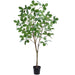5'10" Elm Leaf Silk Tree w/Plastic Pot -Green - LTE147-GR