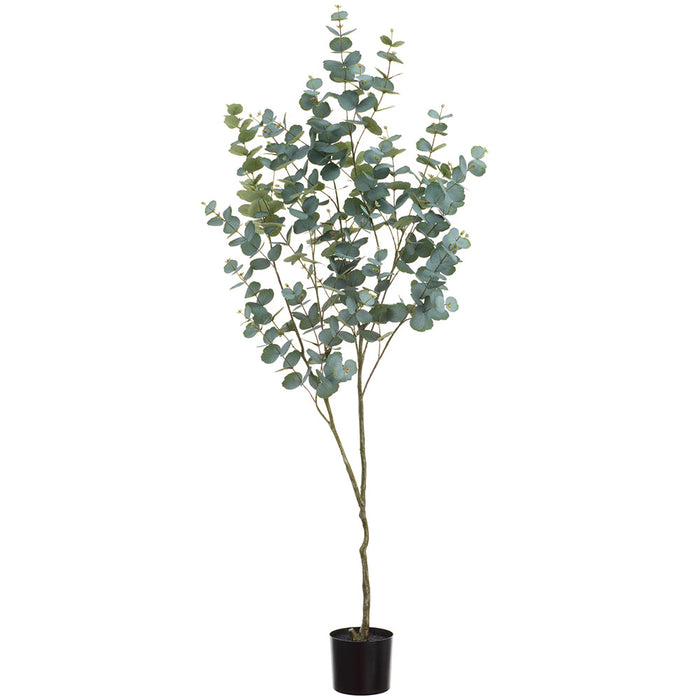 6' Eucalyptus Leaf Silk Tree w/Plastic Pot -Green (Pack of 2) - LTE325-GR