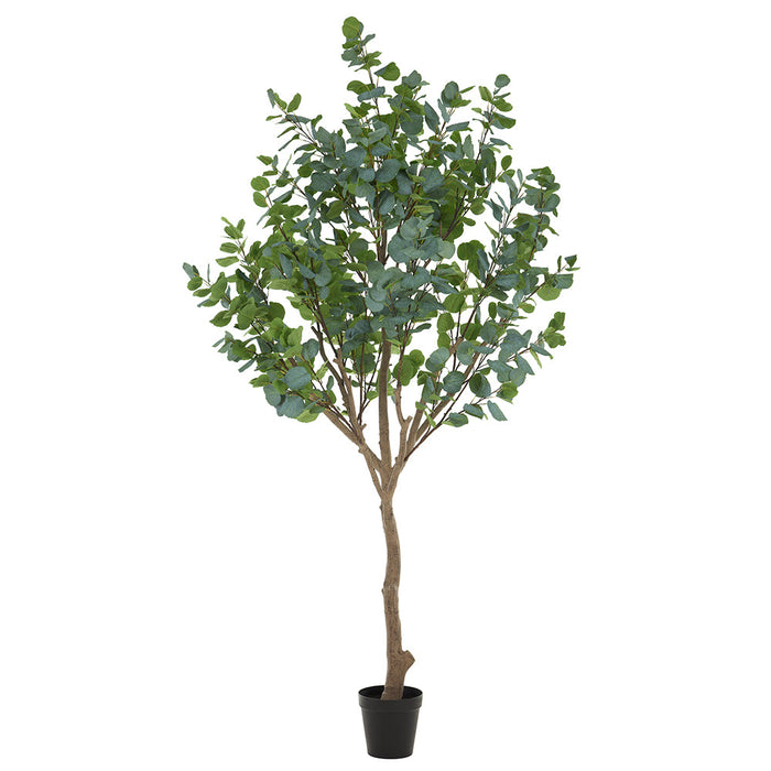 9'10" Eucalyptus Leaf Silk Tree w/Plastic Pot -Green - LTE400-GR