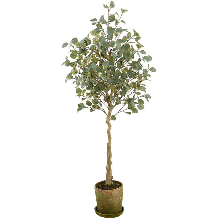 5'7" Eucalyptus Leaf Silk Tree w/Mgo Planter -Green/Gray - LTE565-GR/GY