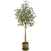 5'7" Eucalyptus Leaf Silk Tree w/Mgo Planter -Green/Gray - LTE565-GR/GY