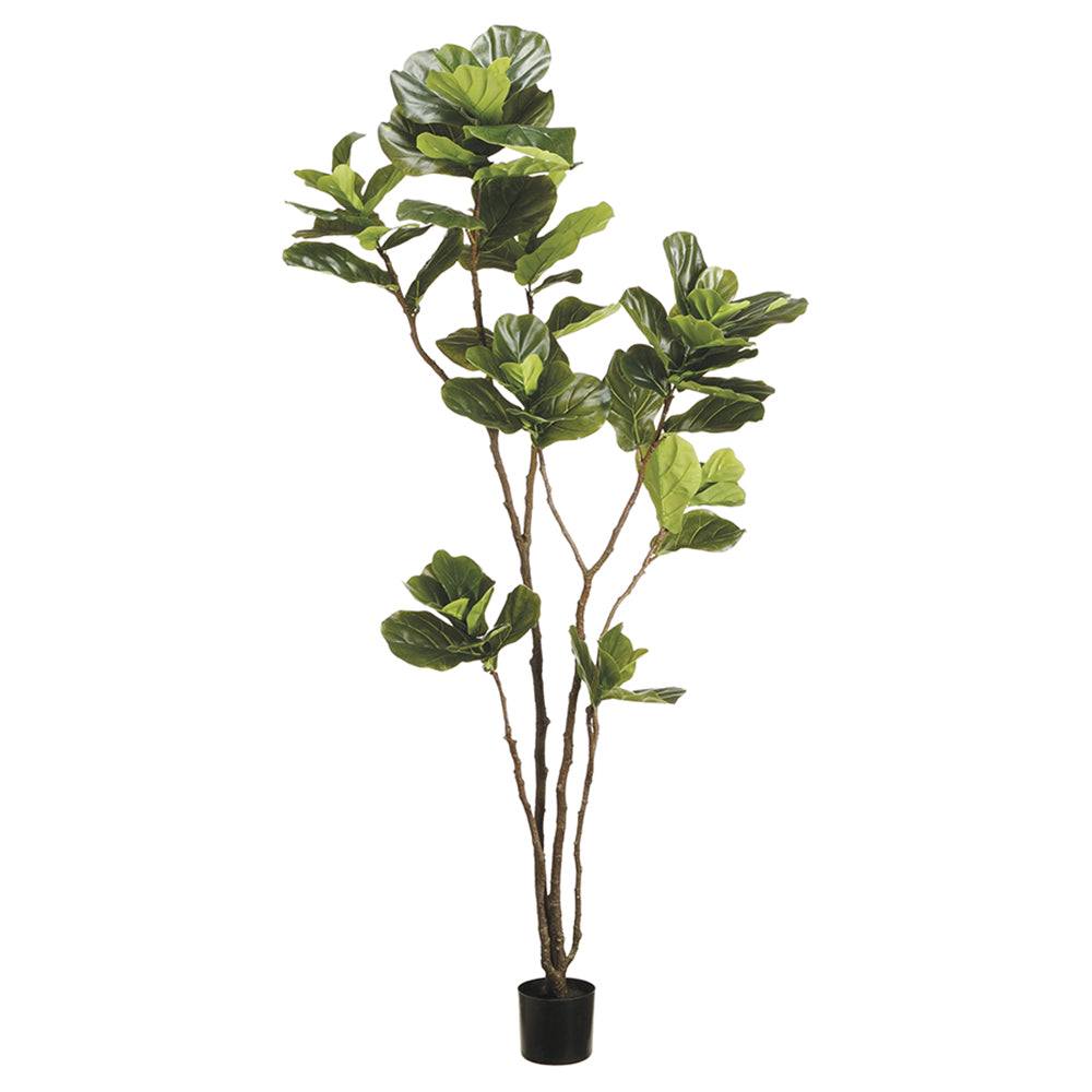 fiddle leaf fig tree png 7' EVA Fiddle Leaf Fig Artificial Tree w/Pot -Green — Silks Are Forever