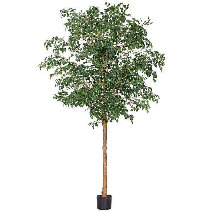 10' Ficus Benjamina Leaf Silk Tree w/Pot -Green - LTF118-GR