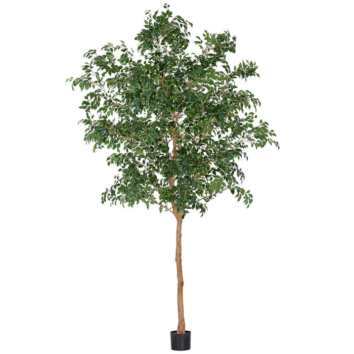 12' Ficus Benjamina Leaf Silk Tree w/Pot -Green - LTF119-GR