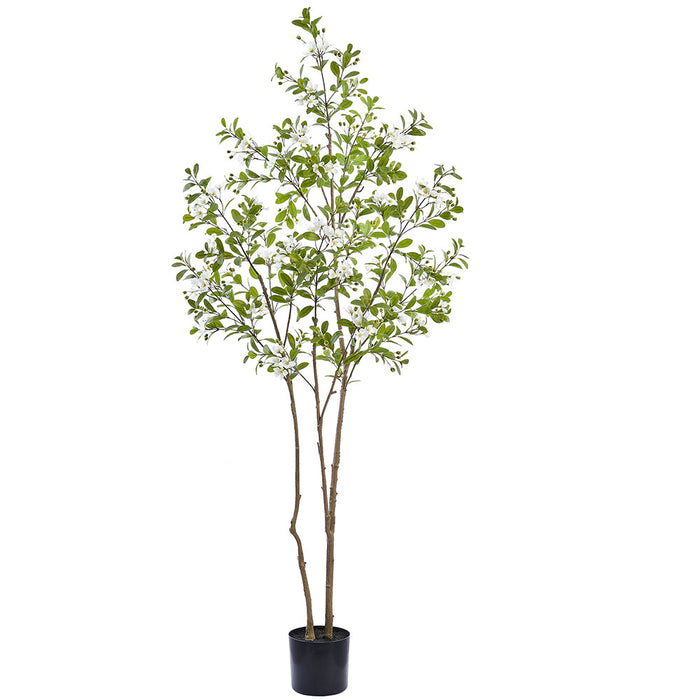 6'9" Flowering Rose Myrtle Leaf Silk Tree w/Plastic Pot -White - LTF122-WH