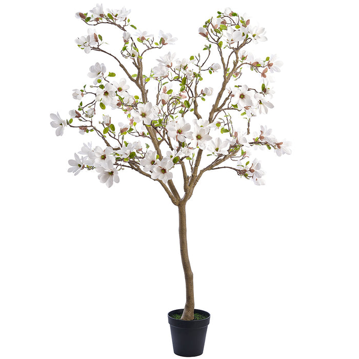 7'10" Flowering Magnolia Leaf Silk Tree w/Plastic Pot -White - LTF237-WH