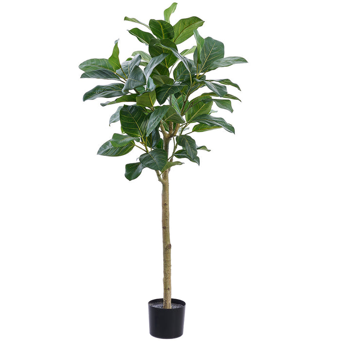 4'6" Ficus Audrey Leaf Silk Tree w/Plastic Pot -Green - LTF245-GR
