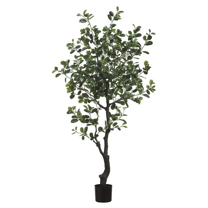 6' EVA Ficus Silk Tree w/Pot -989 Leaves (pack of 2) - LTF316-GR