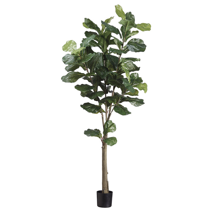 5' Fiddle Leaf Fig Silk Tree w/Pot -Green (pack of 2) - LTF435-GR