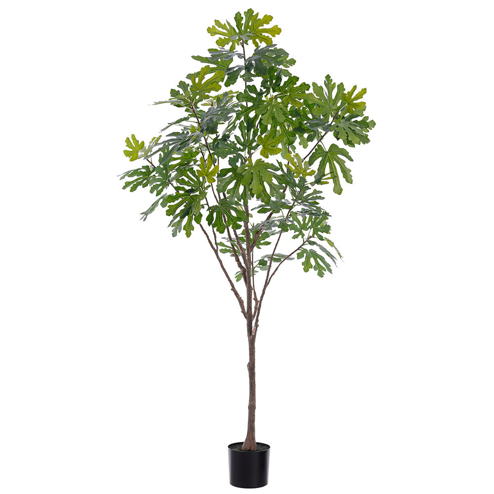 6'8" Fig Leaf Silk Tree w/Pot Green Tropical & Exotic Trees — Silks