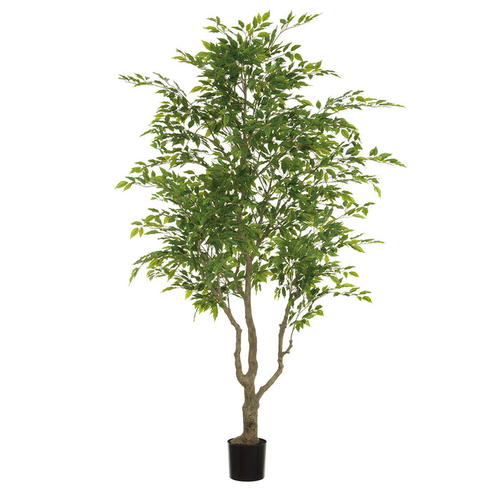 8' Ficus Leaf Silk Tree w/Plastic Pot -Green - LTF515-GR
