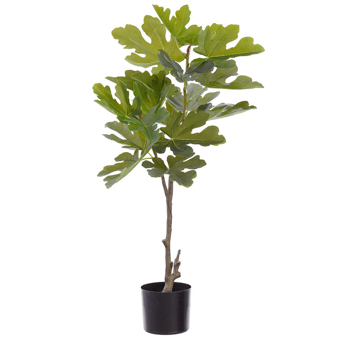 39" Fig Leaf Silk Tree w/Pot -Green (Pack of 2) - LTF565-GR