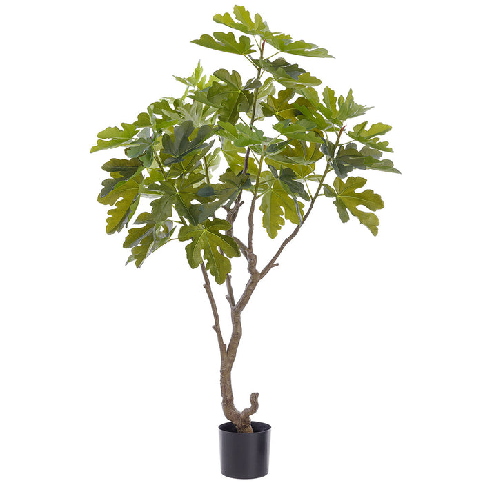 5' Fig Leaf Silk Tree w/Pot -Green (Pack of 2) - LTF566-GR