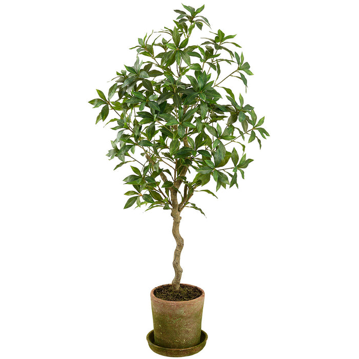46.5" Pieris Japonica Silk Tree w/Mgo Planter -Green (Pack of 2) - LTJ302-GR