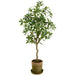 46.5" Pieris Japonica Silk Tree w/Mgo Planter -Green (Pack of 2) - LTJ302-GR