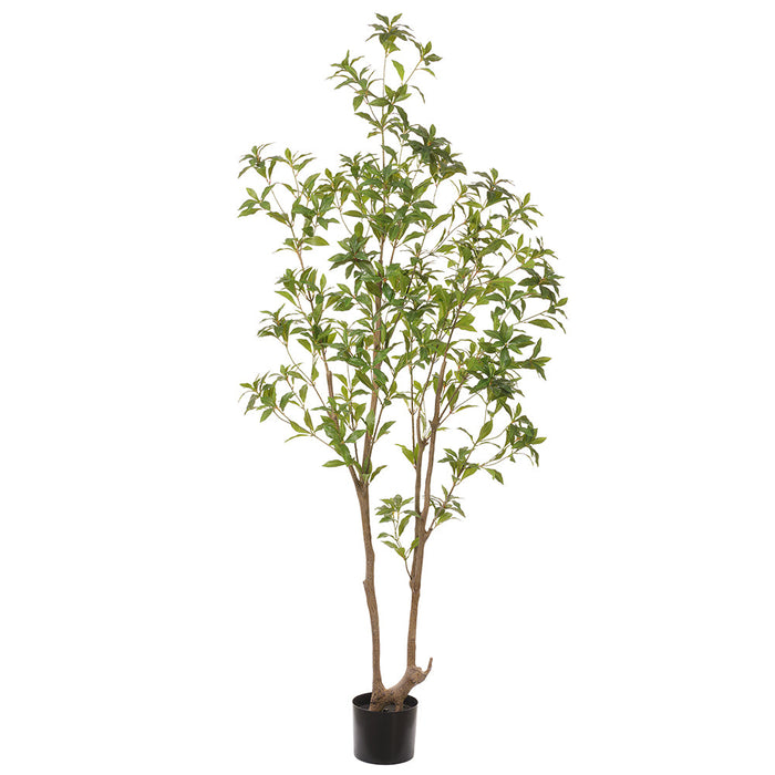 6'9" Pieris Japonica Silk Tree w/Pot -Green - LTJ881-GR