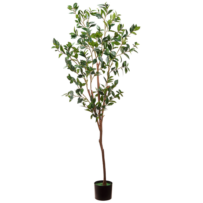 6' Silk Laurel Tree w/Pot -Green (pack of 2) - LTL113-GR