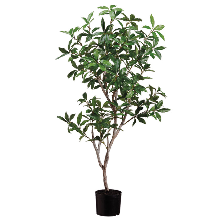 4' Laurel Silk Tree w/Pot -Green (pack of 2) - LTL508-GR