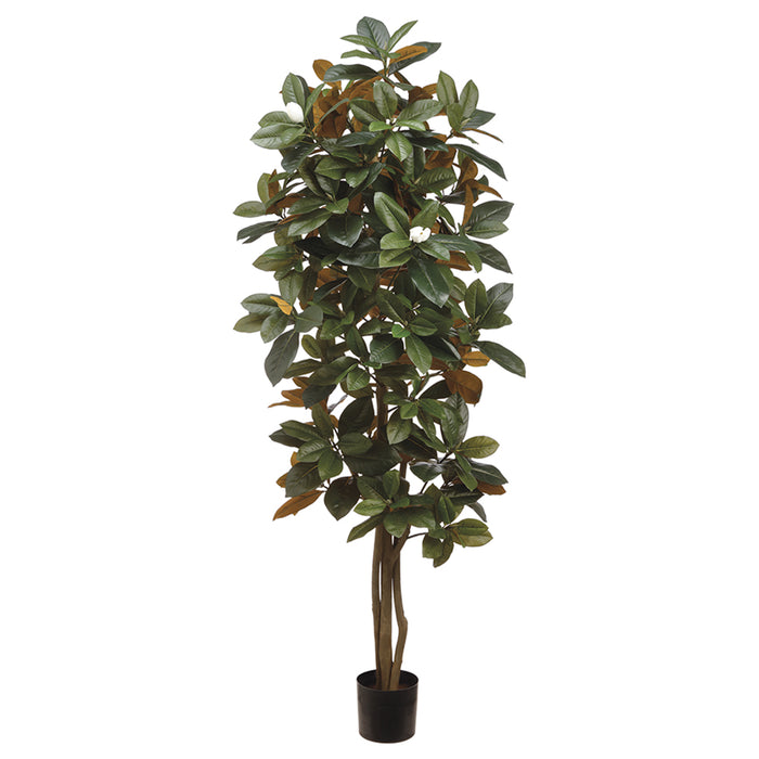 magnolia fiddle leaf fig 5' Silk Magnolia Tree w/Pot -Green (Pack of 2)