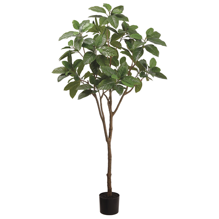 6' Silk Michelia Alba Tree w/Pot -Green (pack of 2) - LTM134-GR