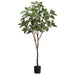 6' Silk Michelia Alba Tree w/Pot -Green (pack of 2) - LTM134-GR