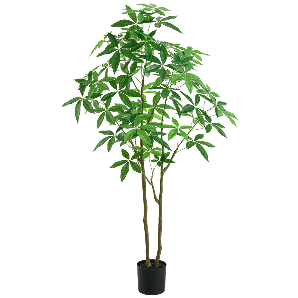 money tree fake 6' Silk Money Tree w/Plastic Pot -Green