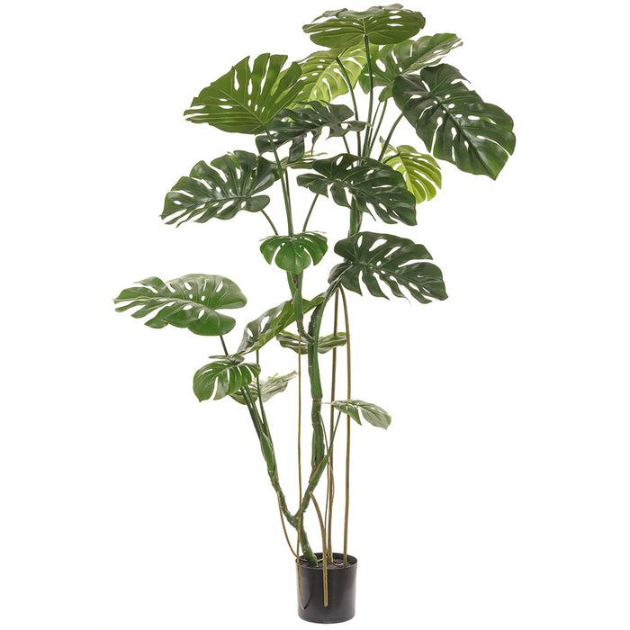 5'10" Split Leaf Philodendron Monstera Silk Plant w/Pot -Green (pack of 2) - LTM180-GR