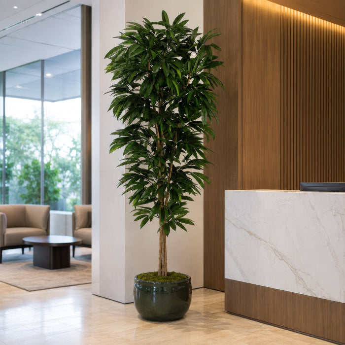 6'6" Mango Silk Tree w/Pot -2 Tone Green (Pack of 2) - LTM984-GR/TT
