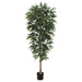 6'6" Mango Silk Tree w/Pot (pack of 2) - LTM984-GR/TT