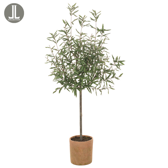 5'10" Silk Olive Tree w/Clay Pot -Green - LTO063-GR
