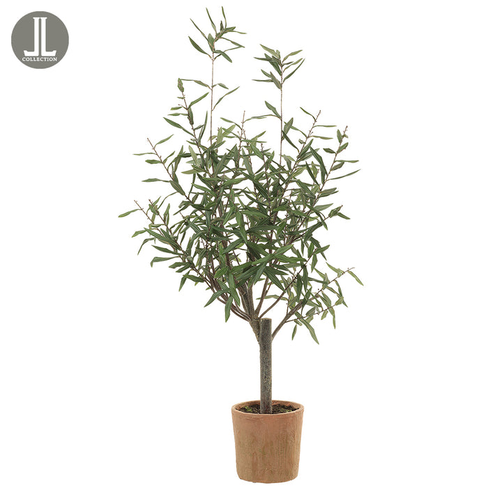 4'2" Silk Olive Tree w/Clay Pot -Green - LTO065-GR