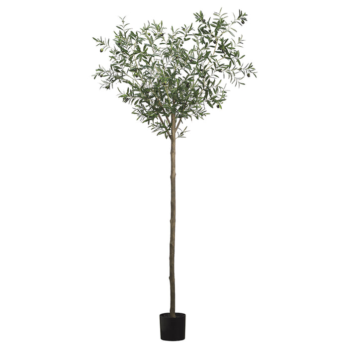 7'11" Olive Silk Tree w/Pot -2 Tone Green (pack of 2) - LTO136-GR/TT