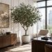 8'2" Giant Silk Olive Tree w/Plastic Pot -Green - LTO137-GR