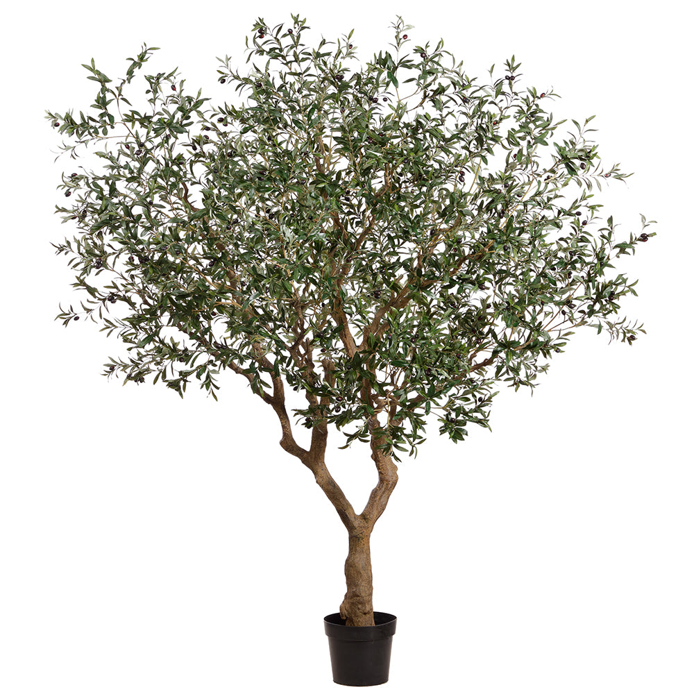 8'2 Giant Silk Olive Tree w/Plastic Pot -Green